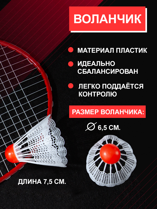 Набор для бадминтона Flight