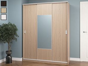 Шкаф-купе Balance (1650) 3D