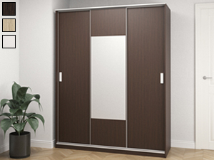 Шкаф-купе Balance (1650) 3D