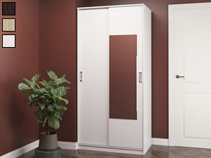 Шкаф-купе Balance (1000) 2D