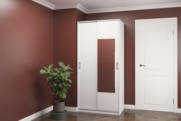  Шкаф-купе Balance (1000) 2D