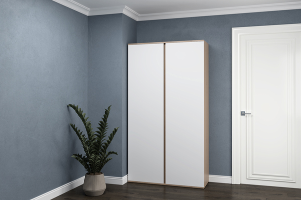  Шкаф Браун 2Д