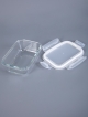  Набор стеклянных контейнеров с крышкой Glass-2