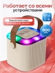  Портативное караоке Y-1
