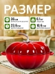  Кокот чугунный эмалированный Tomato-1 3.8L