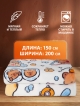  Плед Capybara