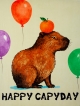 Плед Happy Capyday