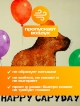  Плед Happy Capyday